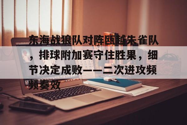 东海战狼队对阵瓯越朱雀队,排球附加赛守住胜果,细节决定成败——二次进攻频频奏效-九游体育官网